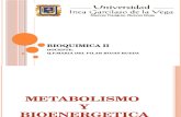 1. Metabolismo y Bioenergetica
