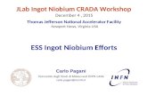 Carlo Pagani Università degli Studi di Milano and INFN-LASA carlo.pagani@mi.infn.it ESS Ingot Niobium Efforts JLab Ingot Niobium CRADA Workshop December.
