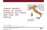 Labour Market Areas in Italy: products for users and tool for policy Luisa Franconi Istat, Direzione centrale per lo sviluppo dei sistemi informativi e.