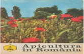 5-1986 - Apicultura in Romania