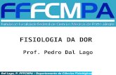 Dal Lago, P. FFFCMPA – Departamento de Ciências Fisiológicas - 2005 FISIOLOGIA DA DOR Prof. Pedro Dal Lago.