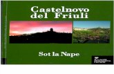 2009 Castelnovo Del Friuli