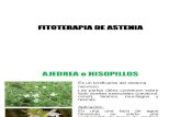 Fitoterapia de Astenia