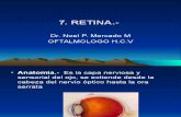 Oftalmologia Basica Retina