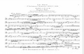 Bach-Oratorio Di Natale BWV0248.Timpanids