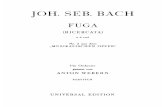 Bach - Fuga (Ricercata)