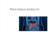 Pancreas Di