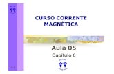 Curso Corrente Magnetica - Aula 05 - Cap 06 (6p)
