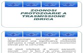 Zoonosi Protozoarie a Trasmissione Idrica Def