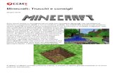 Minecraft Trucchi e Consigli 2363 Npbllr