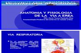 Anatomia y Fisiologia de La via Aerea