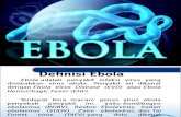Ebola Presentasi
