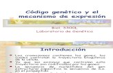 4_codigo_genetico_y_su_mecanismo_de_expresion (1).ppt