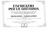 Giuliani -Esercizio Op48