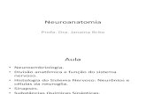 Neuroanatomia - Aula 2