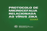 Protocolo Microcefalia Relacionada Ao Vírus Zika - Ceará