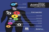 2015 Libro Completo Anatomia Corrupcion