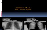 Torace LP 1(Anatomie radiologica)
