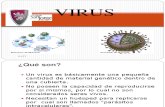 virus 4 ccc