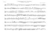 213243226 Arpeggione Sonata Flute Part