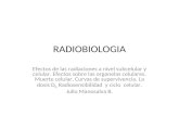 RADIOBIOLOGIA 9