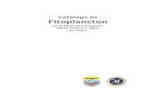 Catalogo de Fitoplancton Cartagena2012