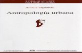 Signorelli, Amalia - Antropologia Urbana