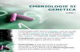 Embriologie 1 97-2003