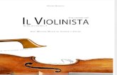 Liuteria-Manutenzione violino