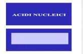 Biologia Molecolare - Acidi nucleici