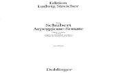 Franz Schubert - Sonata 'Arpeggione' D821, (L.streicher), Kontrabass
