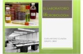 Laboratorio de Microbiologia[1]