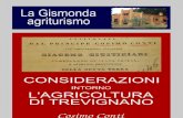 Conti 1837 - Considerazioni Intorno l'Agricoltura Di Trevignano