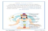 WORKSHOP- Anatomie energetica (2).doc