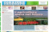 Corriere Cesenate 17-2012