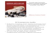 Alfonso Cotera Economia Solidaria