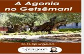A Agonia No Getsemani