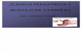 6. Etiologia de La Diarrea