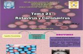 TEMA 21 Rotavirus y Corona Virus