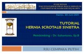 Hernia Scrotalis Sinistra