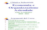 Economia e Organizzazione Aziendale a.a. 2010-2011
