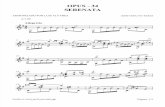 Terzi Op34 Serenata Gp