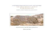 Informe Geologico San Rafael