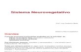 5 Batiz Neuroanatomia Sistema Neurovegetativo 2011