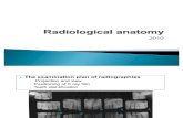 Anatomie radiologica (1)