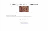 Giulgiul Din Torino (v. 2)