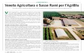 07 Veneto Agricoltura Per AgriBlu