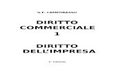 Commerciale 1 - L_ impresa