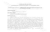 Trascrizione del Consiglio Comunale di Seveso del 14.10.2009