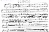 Beethoven Sonata No.8 Patetica / Op.13 - Mov1